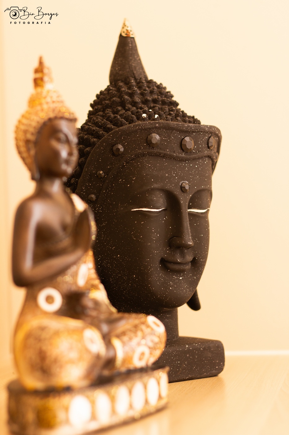 PRODUTOS E SERVIÇOS.